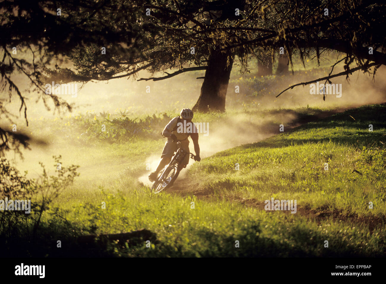 Man mountain biking in Kamloops, BC Stock Photo Alamy