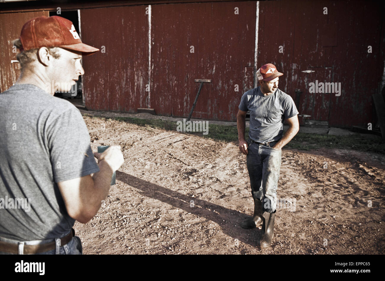 Two dairy farmers in Keymar, Maryland  talk over some details with each other before working. Stock Photo