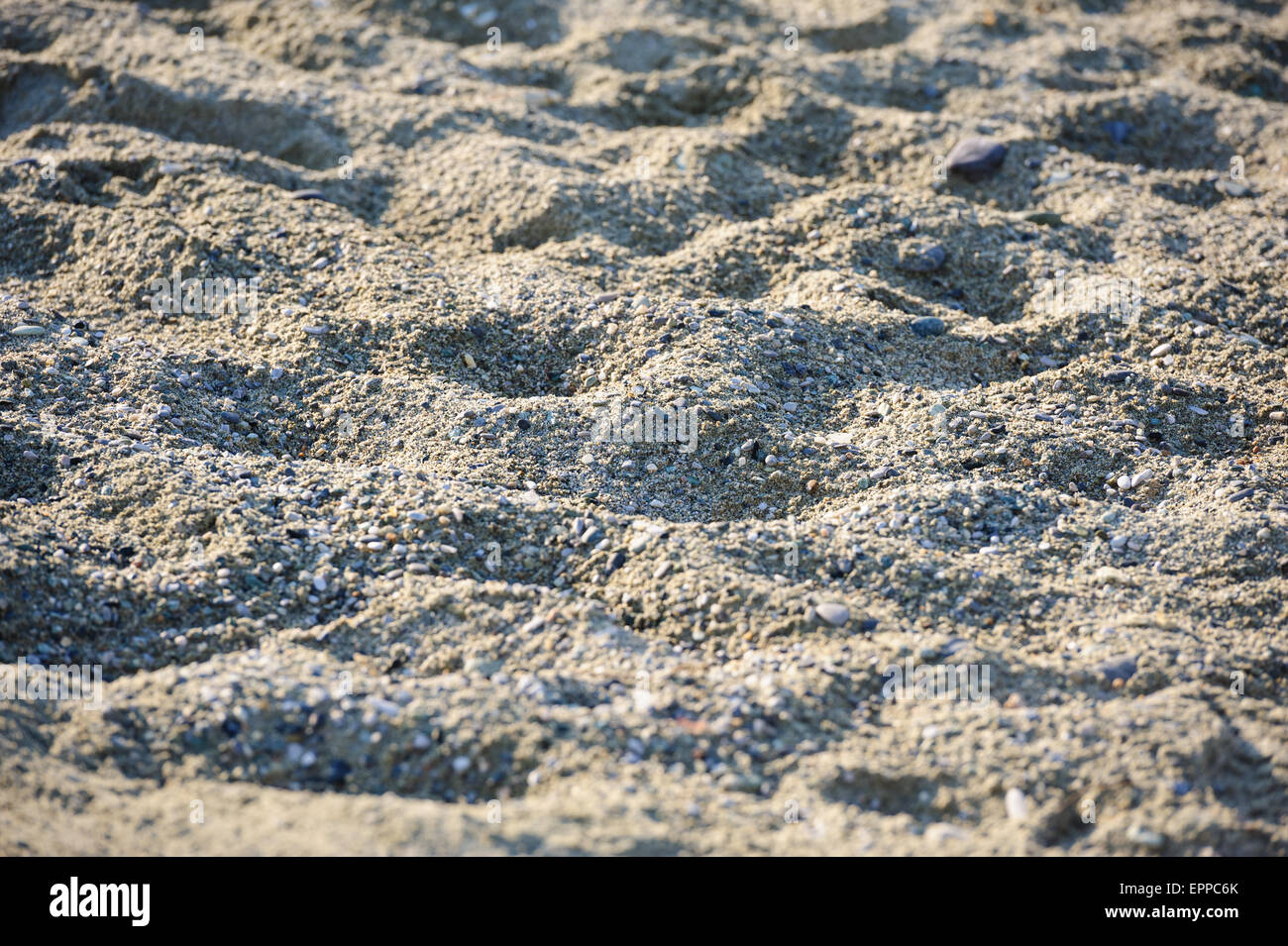 beach sand background Stock Photo
