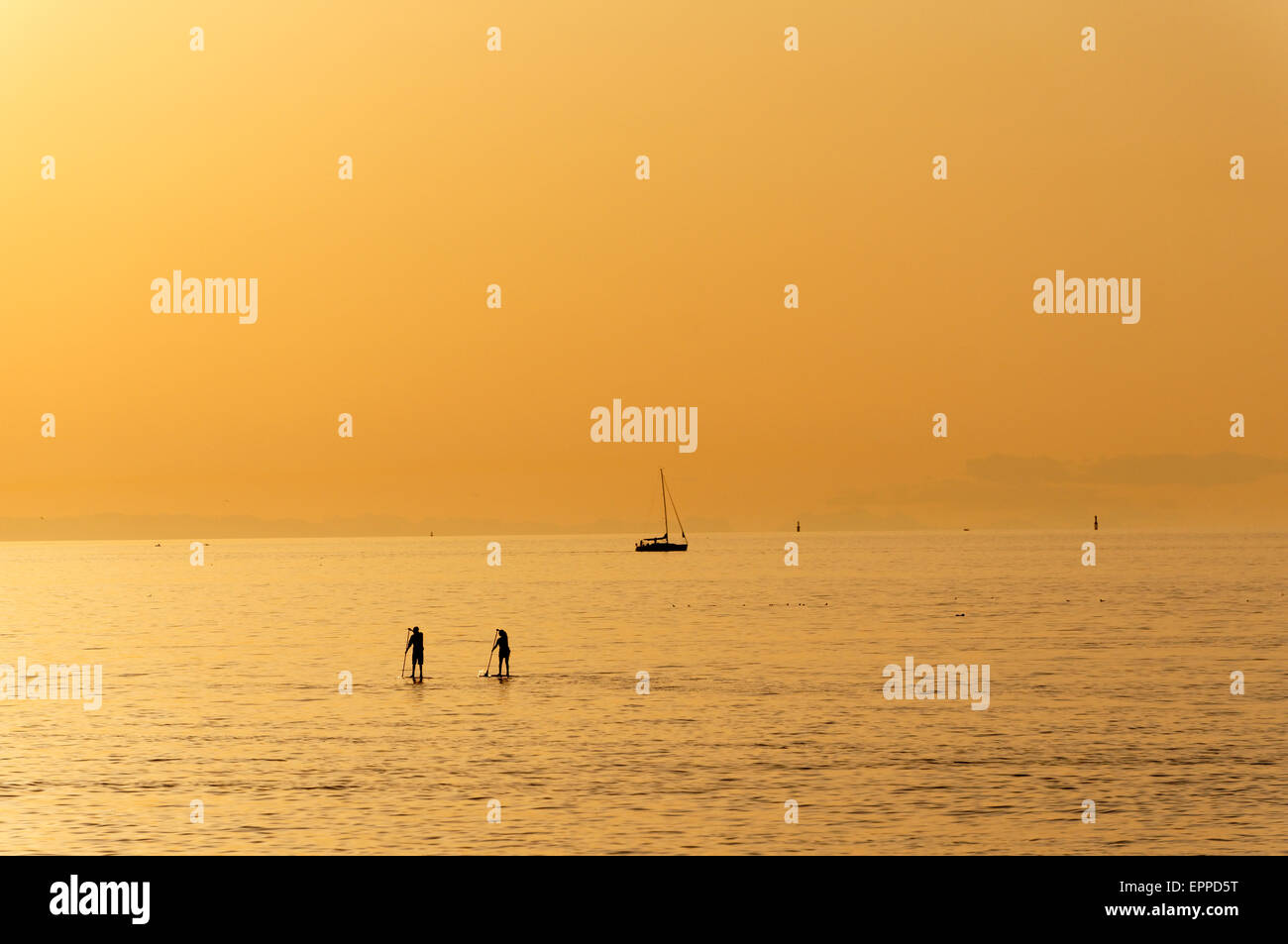 Two paddle boarders on English Bay at sunset, Vancouver, BC, Canada Stock Photo