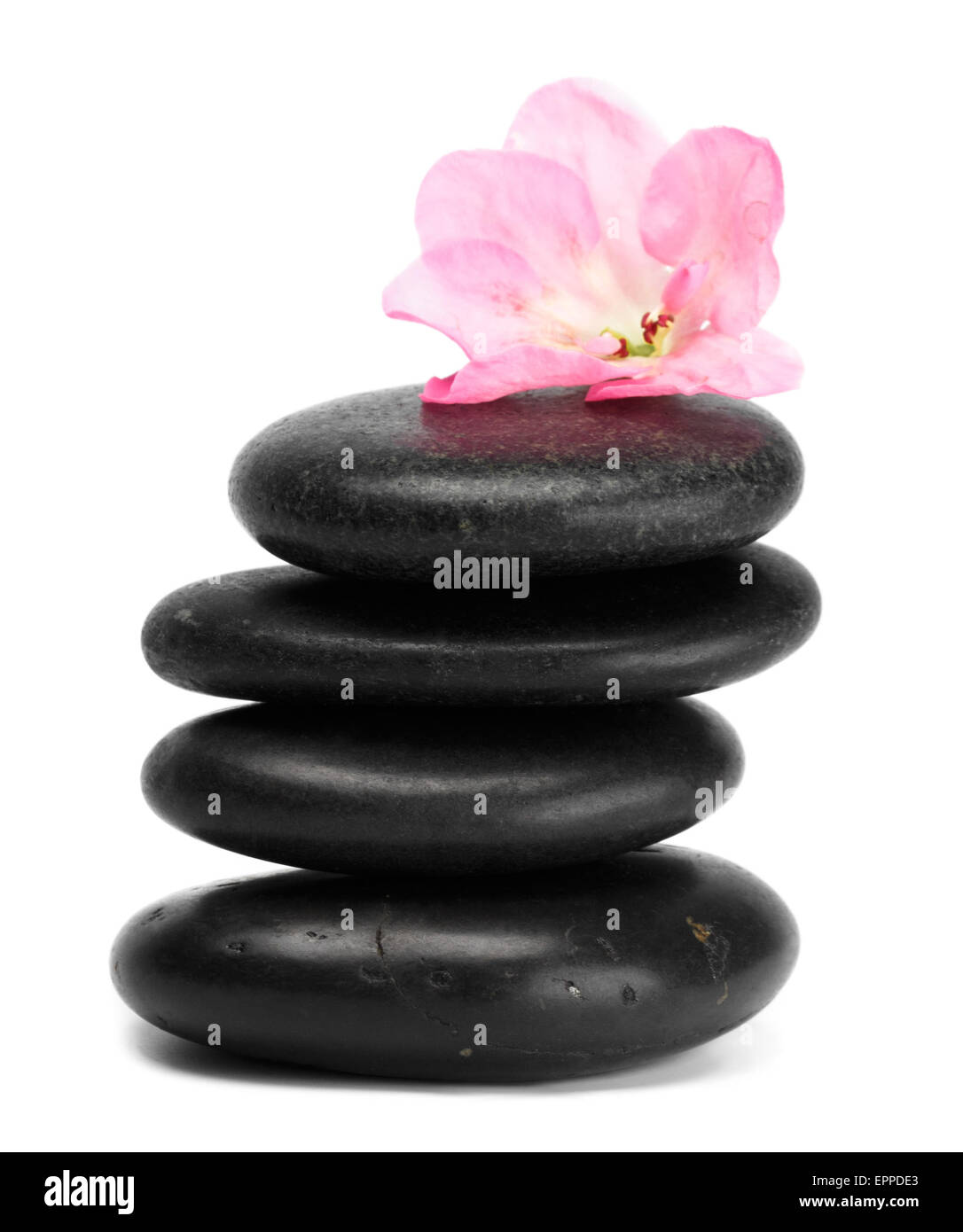 Stones balance white flower hi-res stock photography and images - Alamy