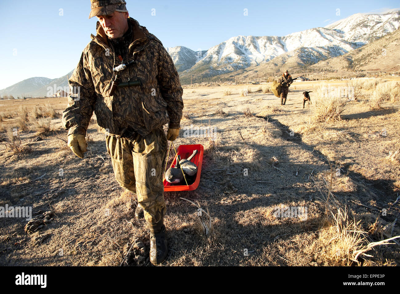 A hunter transports a pair of decoys as a second hunter and his dog follow behind in Carson City, NV. Stock Photo