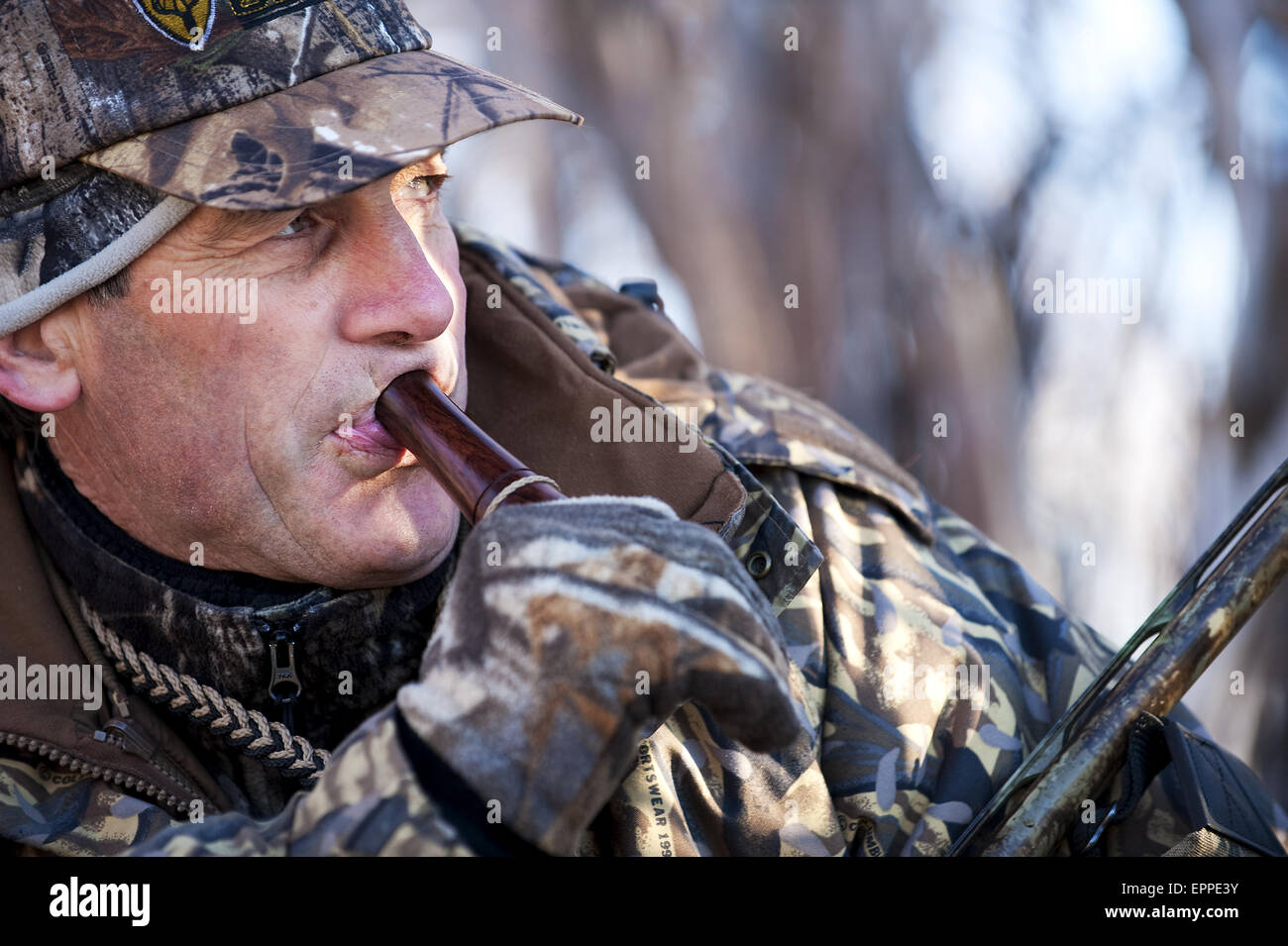 Duck call hires stock photography and images Alamy
