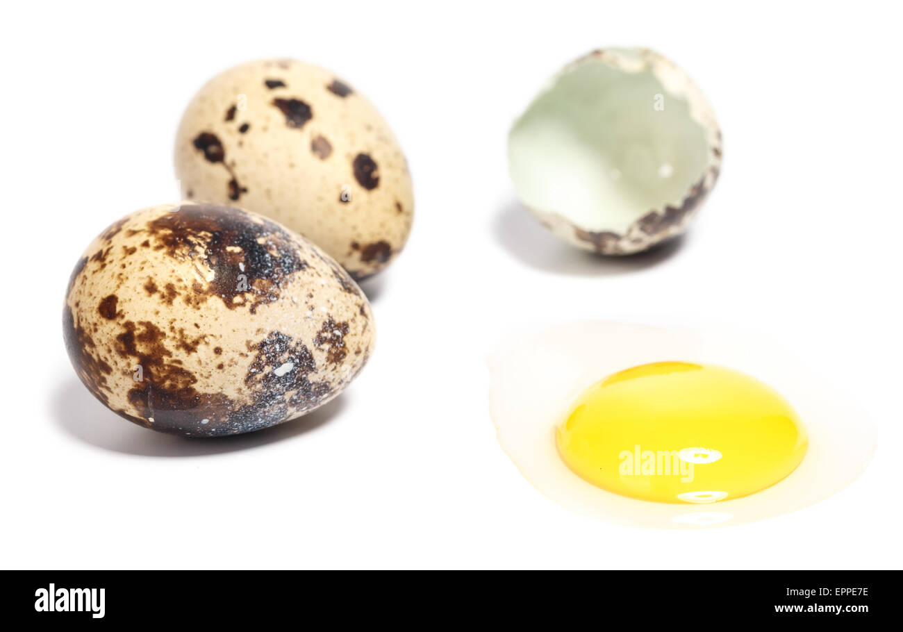 quail eggs Stock Photo