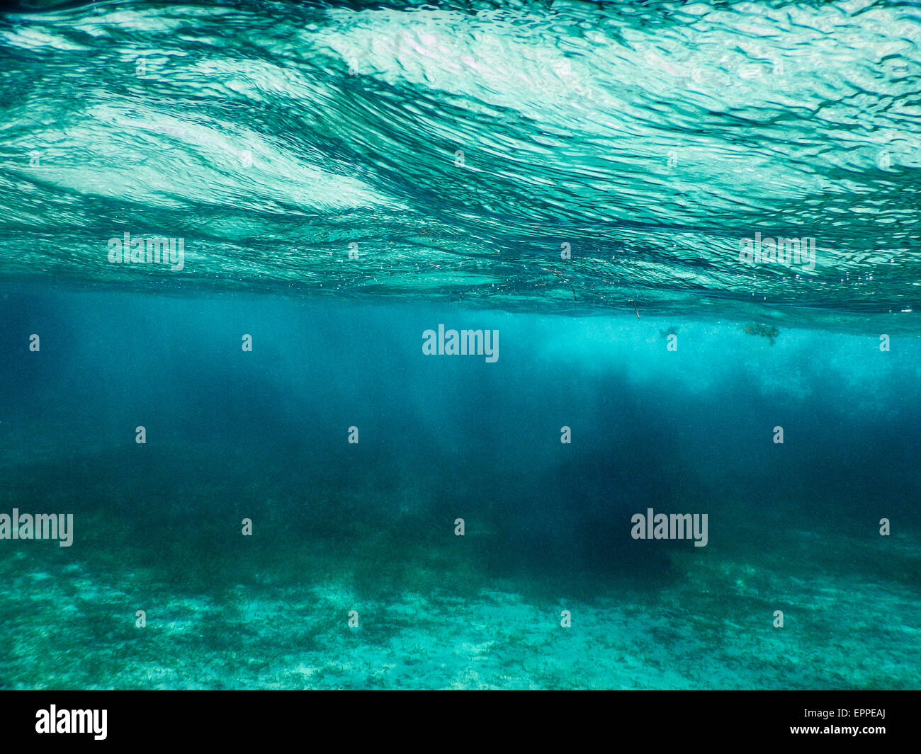 Clear underwater photos hi-res stock photography and images - Alamy