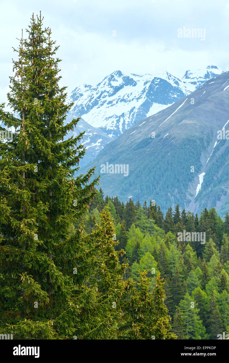 Mountain Bettmeralp (Switzerland) summer top view. Stock Photo