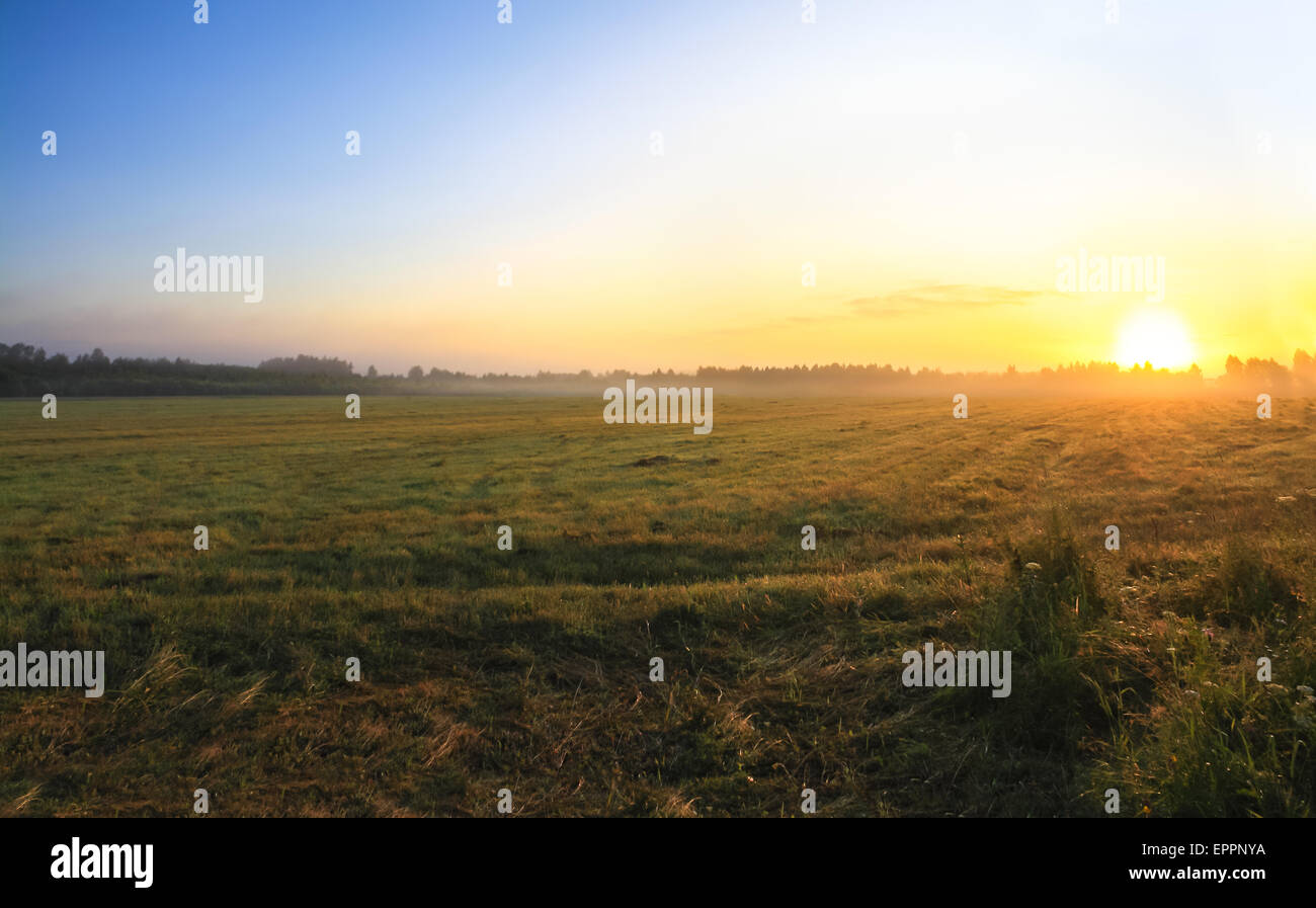 Beautiful fog field hi-res stock photography and images - Alamy