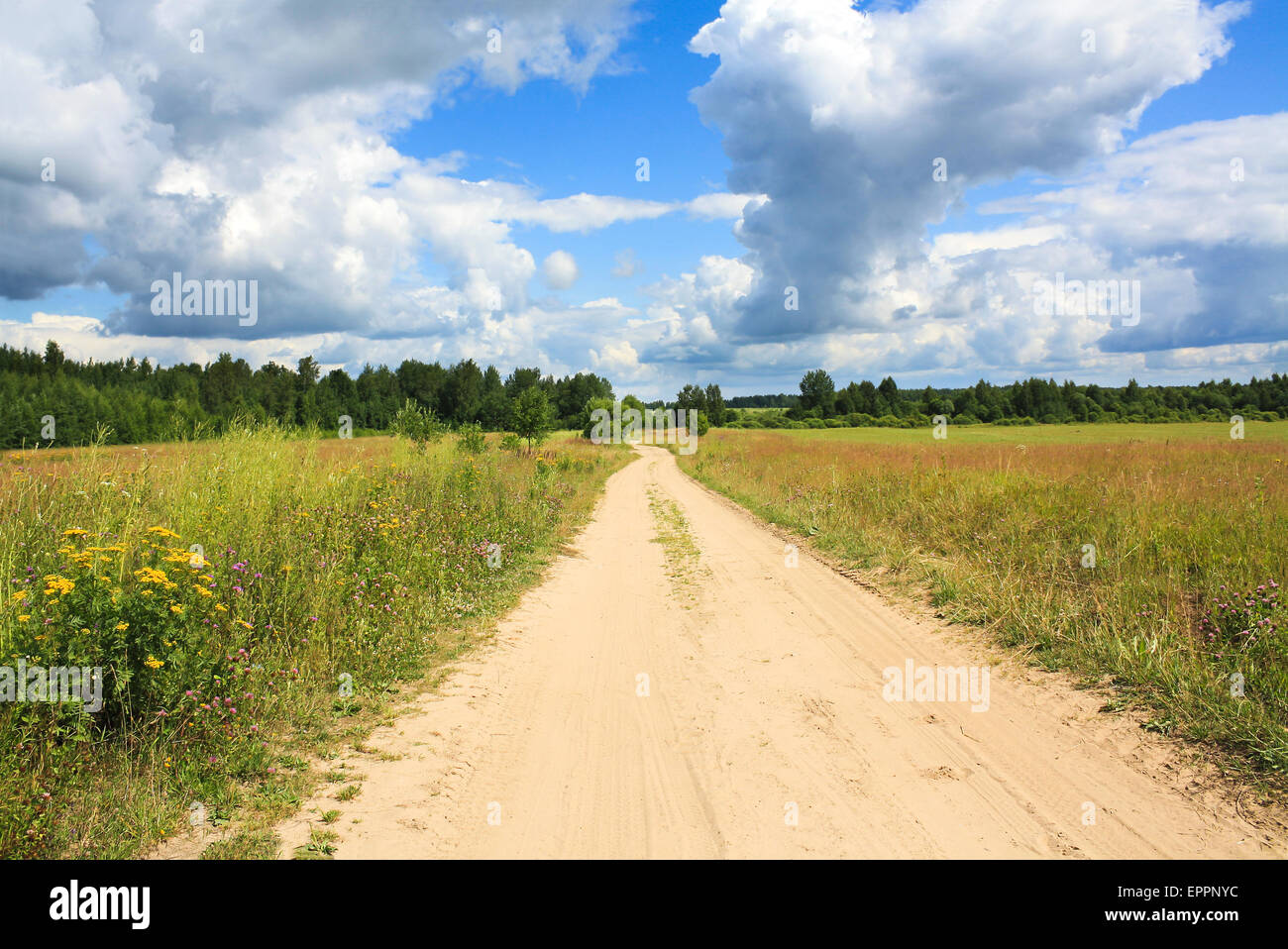 beautiful summer landscape with the rural road and the blue sky Stock ...