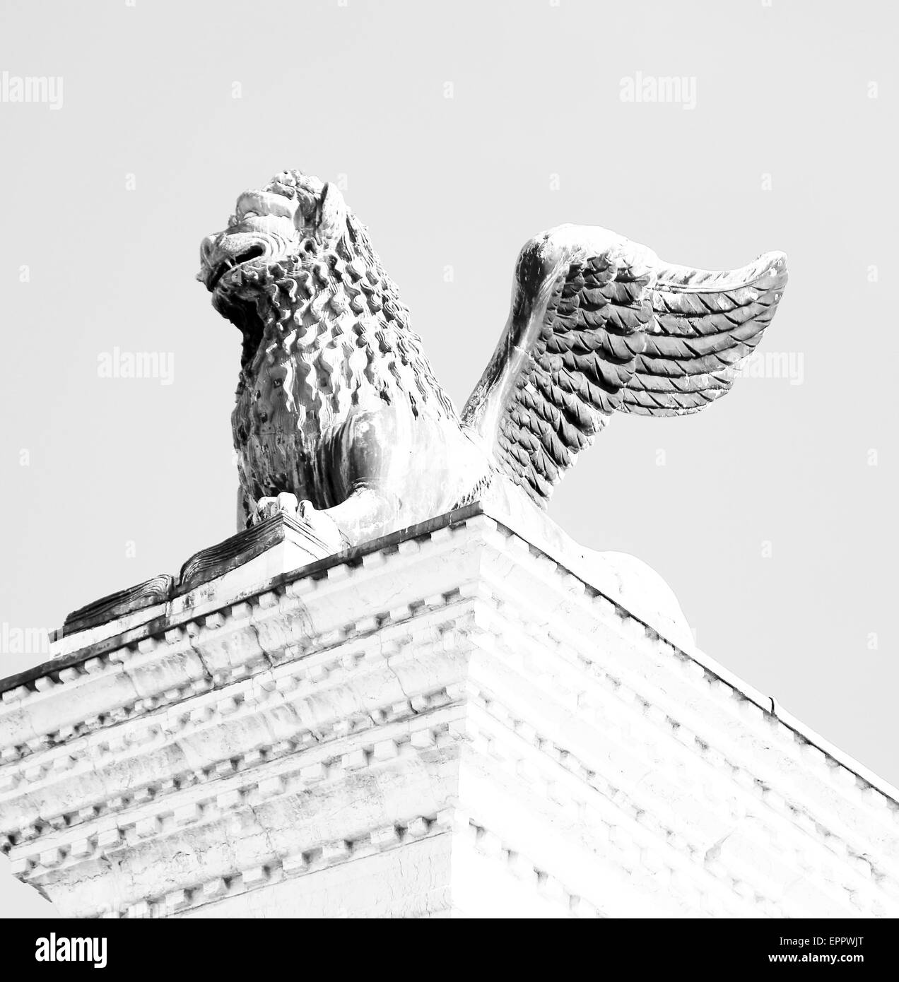 winged lion statue in piazza san marco in Venice Italy Stock Photo