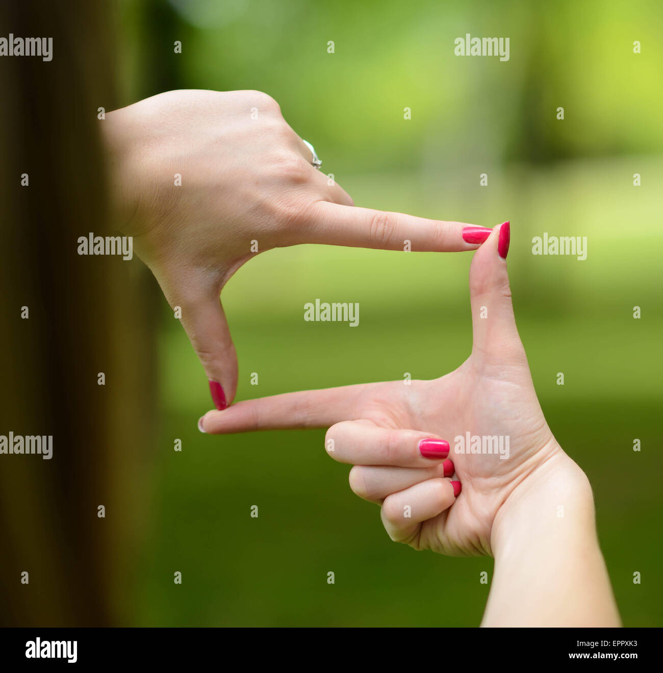 Making frame hi-res stock photography and images - Alamy
