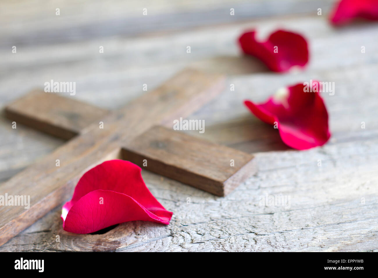 Cross and rose religion sign symbol abstract concept Stock Photo