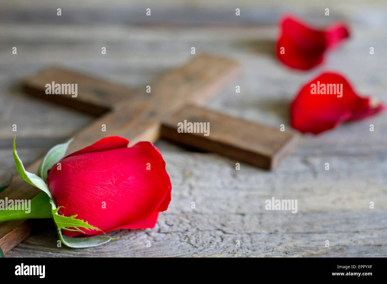 Cross and rose religion sign symbol abstract concept Stock Photo