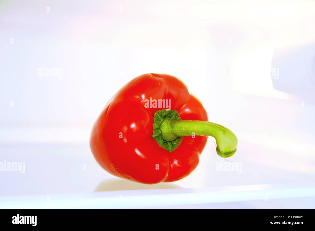 Single red pepper sitting alone in an empty fridge Bell pepper, also