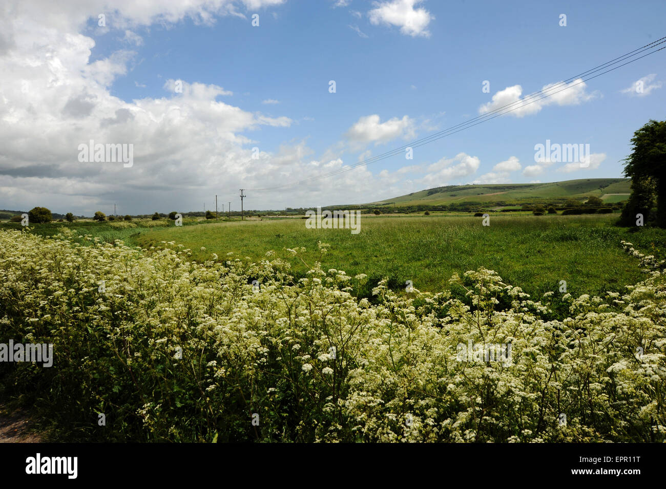 View across the meadows at Rodmell towards the River Ouse near Lewes East Sussex UK Stock Photo