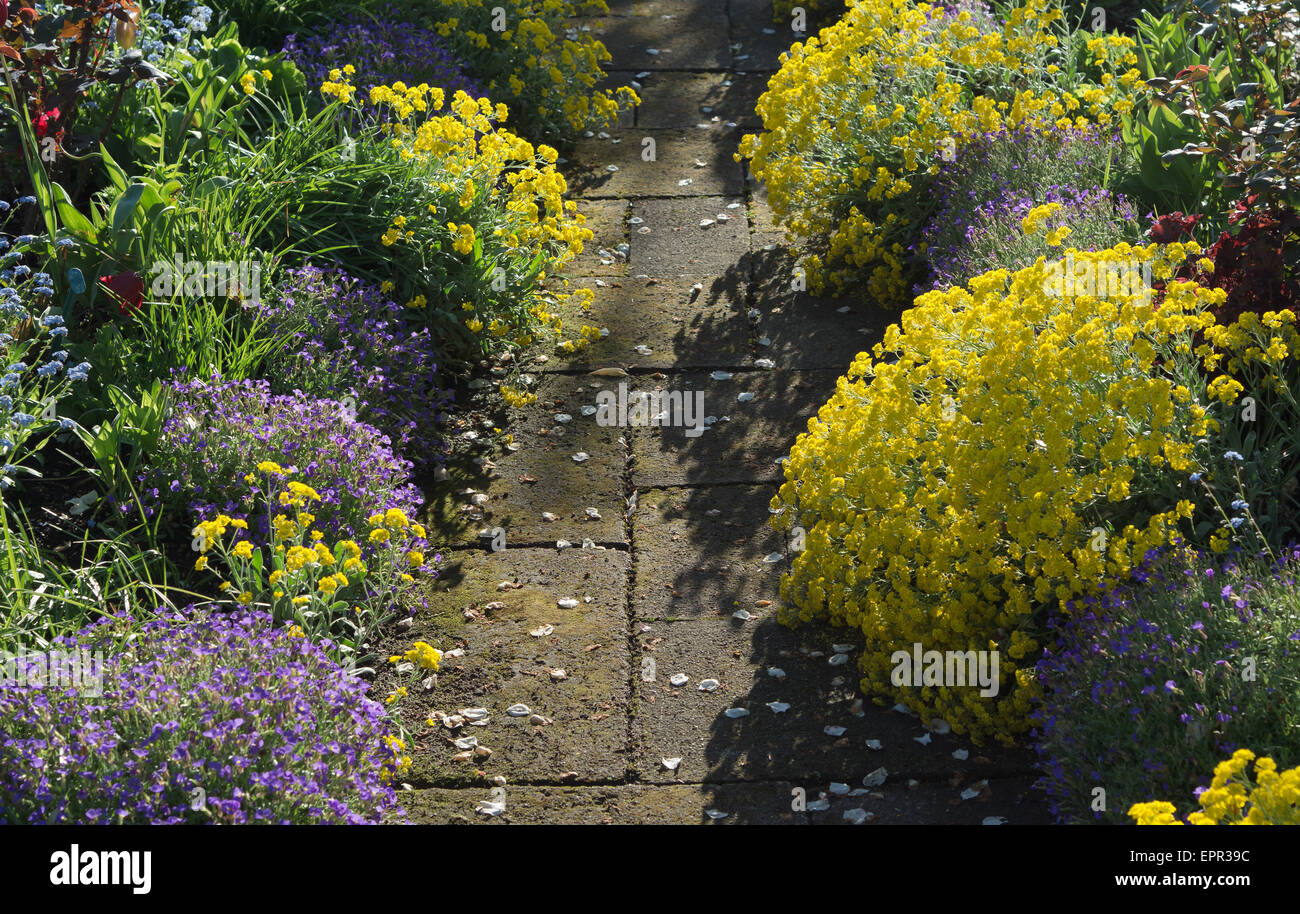Garden Walkway Through Peaceful Spring Scenery with Blossoms Stock Photo
