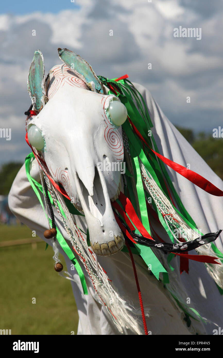 National Eisteddfod, Vale of Glamorgan, Mari Llwyd Stock Photo