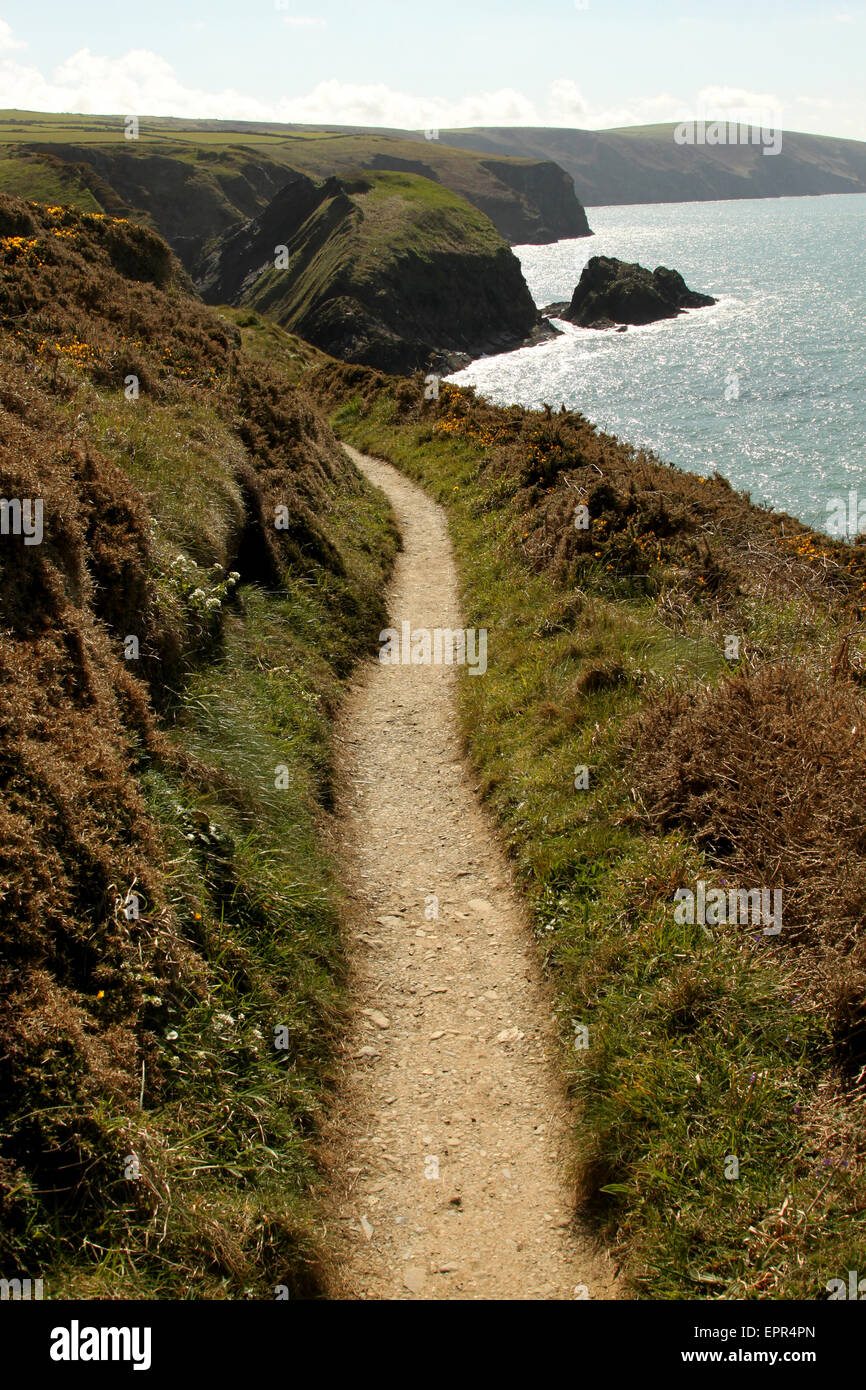 Coastal footpath at Ceibwr Bay Pembrokeshire / Ceredgion Stock Photo