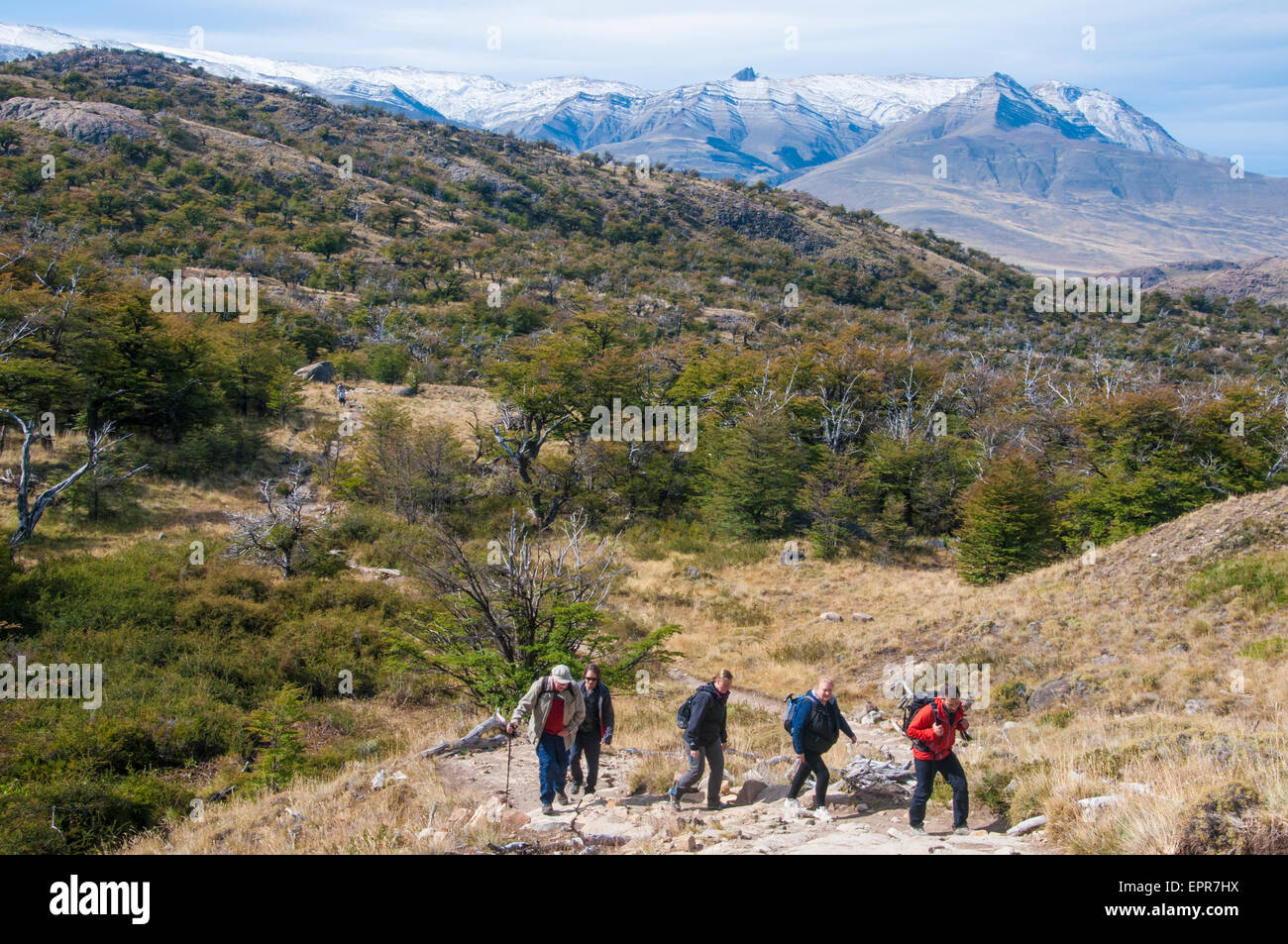 Hikers in Los Glaciares National Park, El Chalten, Patagonia, Argentina Stock Photo