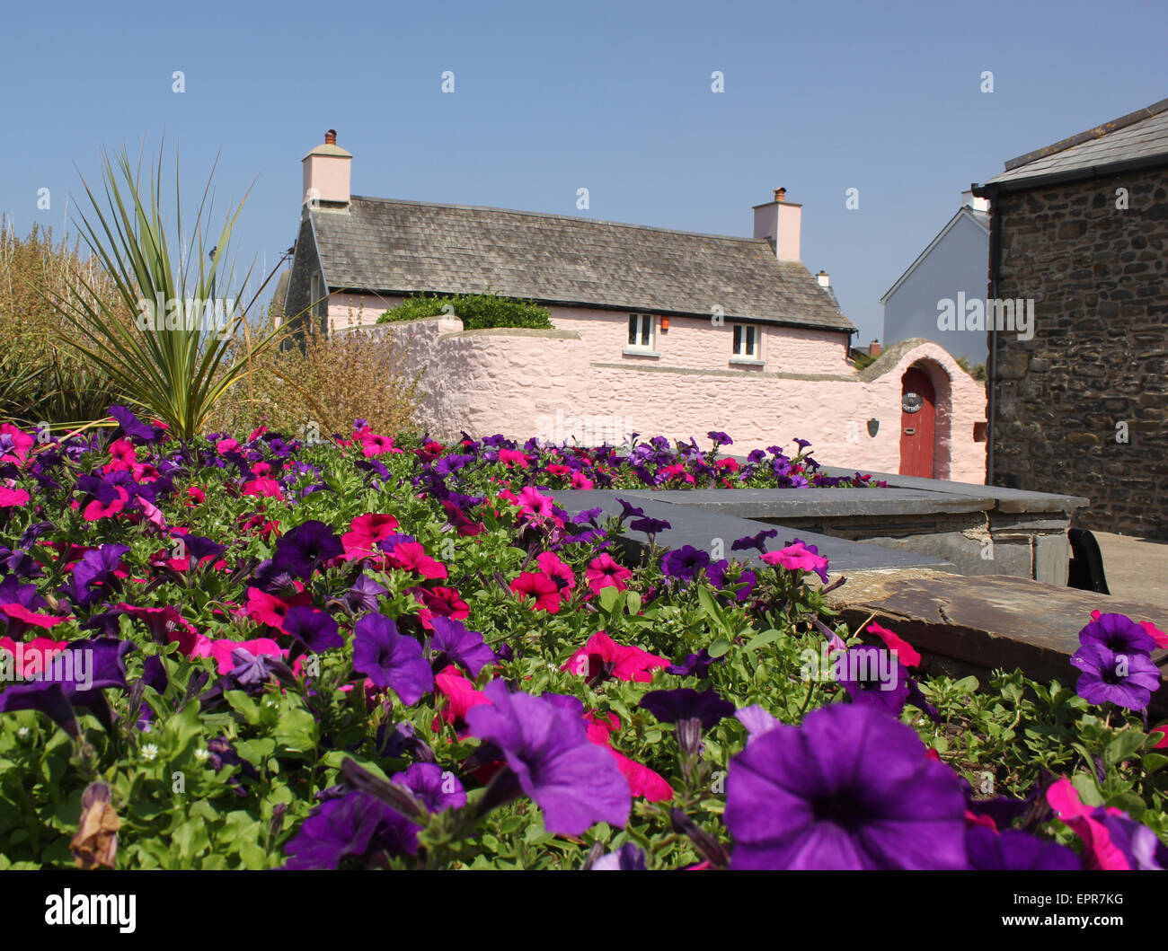 Cottage opposite the harbour in Aberaeron Stock Photo