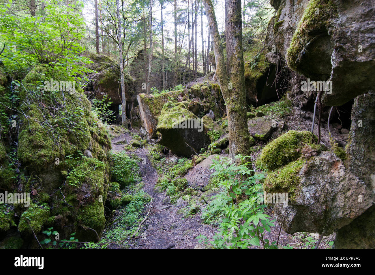 Guest bunker in Wolfsschanze, Hitler's Wolf's Lair Eastern Front ...