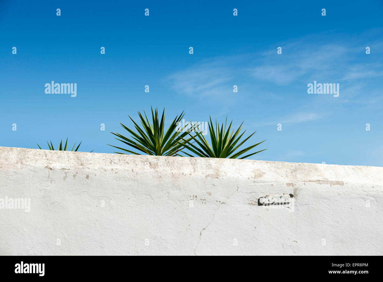 whitewashed wall in Ibiza Island Stock Photo