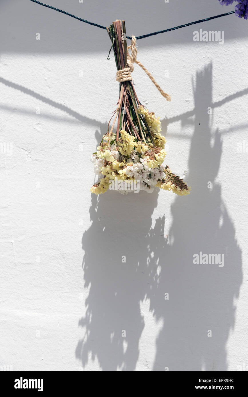 bouquet of dried flowers hanging on a rope Stock Photo