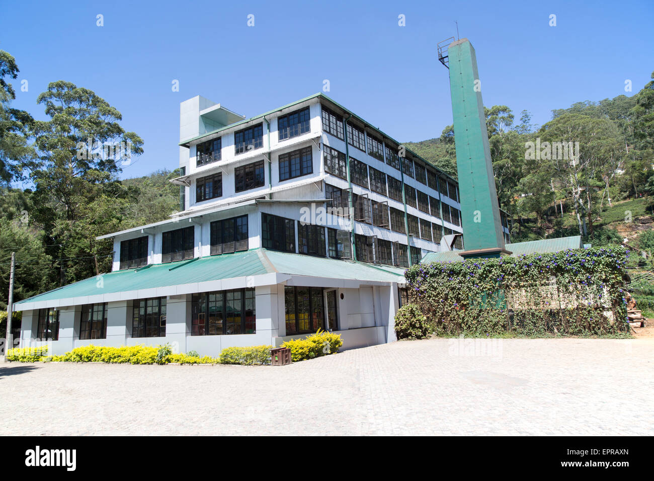 Mackwoods tea estate factory, Nuwara Eliya, Central Province, Sri Lanka, Asia Stock Photo