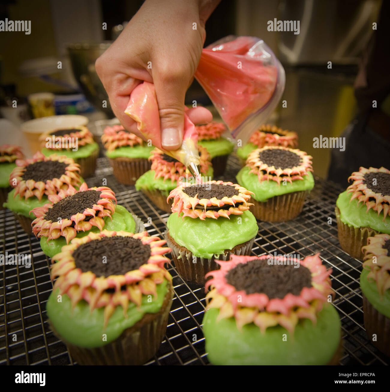 Applying decorative icing on cupcakes Stock Photo Alamy