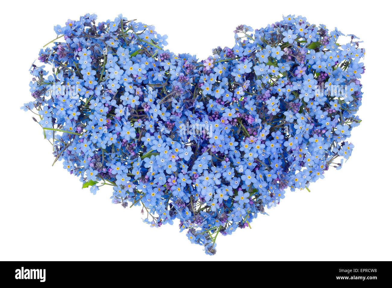 Blue heart of the gentle guy isolated concept. The symbol of heart is made of blue spring flowers Stock Photo