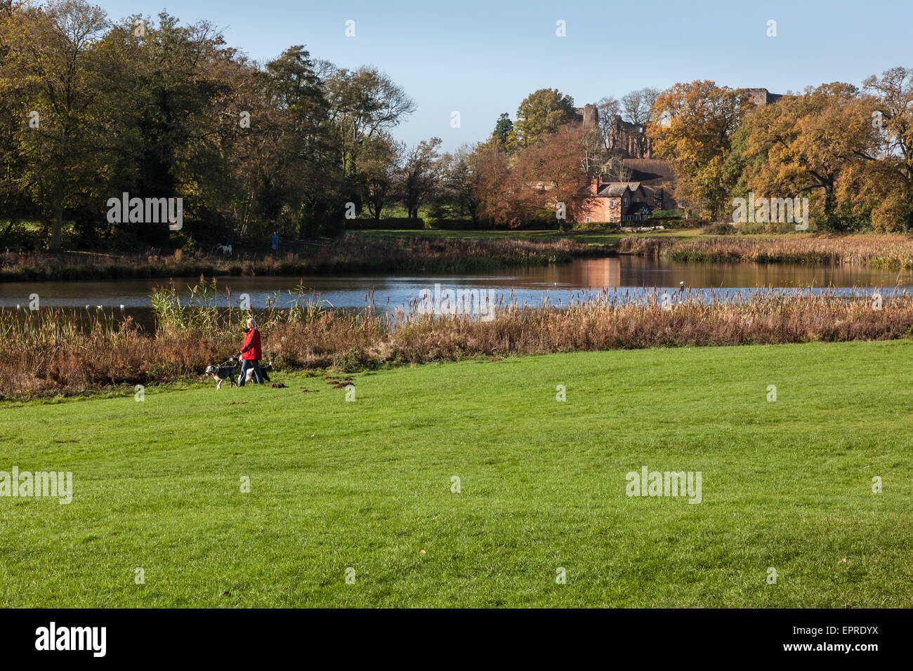 Dog walkers around the lake in Kenilworth's Abbey Fields, with the