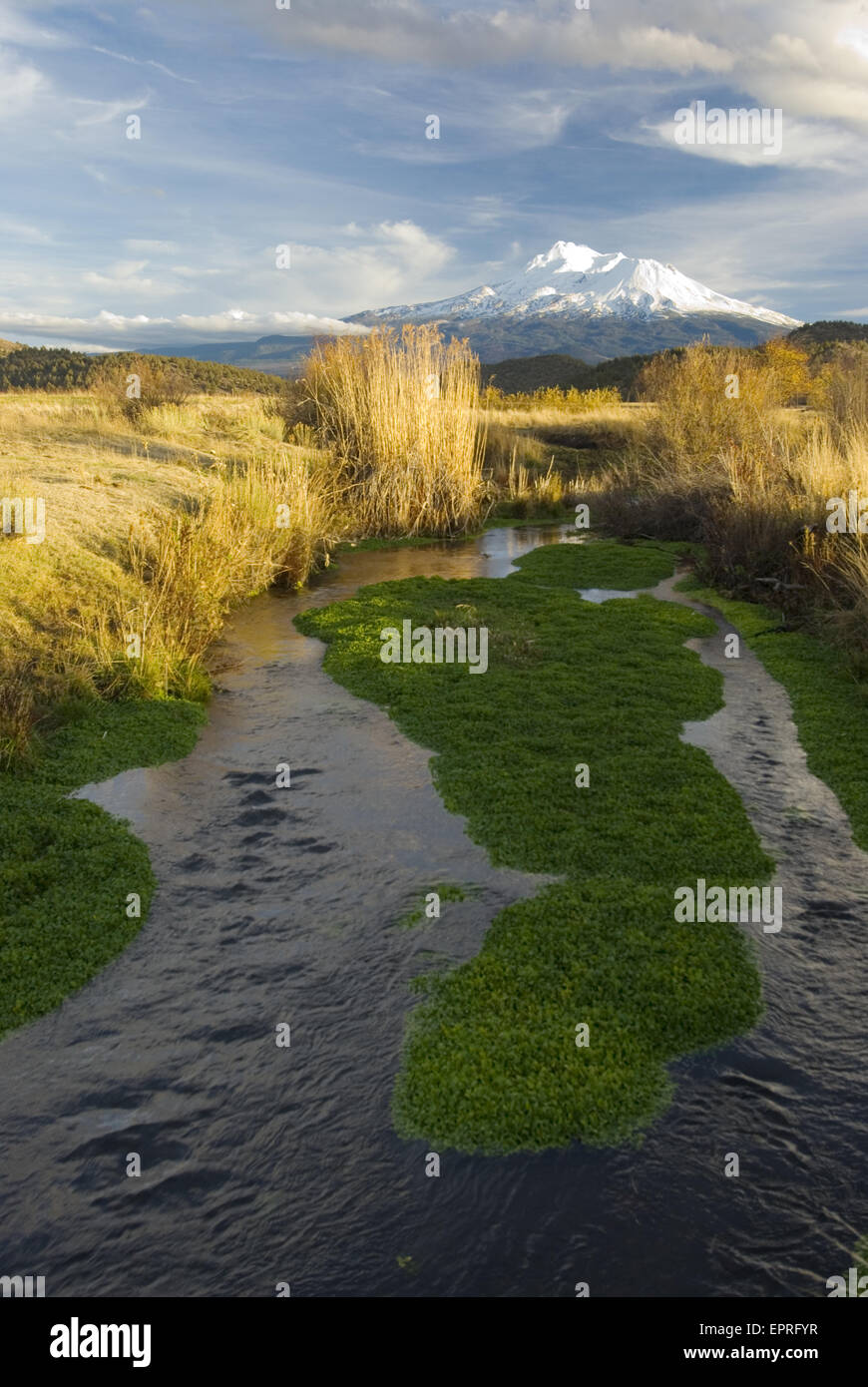 Mount Shasta and the Shasta River, Mt. Shasta, CA Stock Photo Alamy