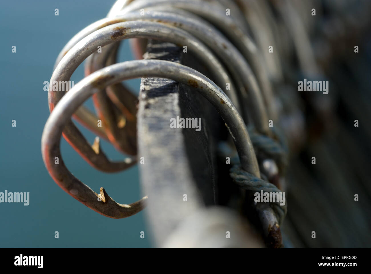 Fishing Hook instal the last version for windows Fishing Hook instal the last version for windows