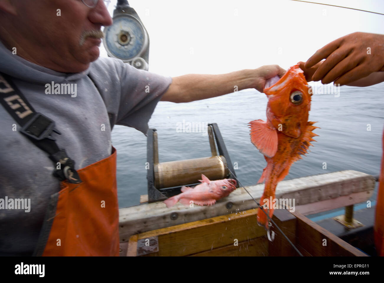 Black water sustainable hires stock photography and images Alamy