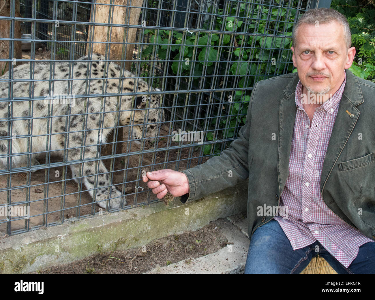 Zookeeper Renato Rafael sits with a snow leopard at his Felidae Wildcat