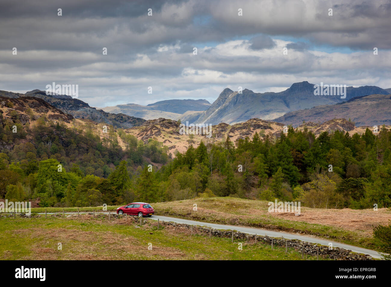 A car drives along the road near Tarn Hows with the Langdale Pikes in the distance, near Hawkshead, Lake District, Cumbria Stock Photo