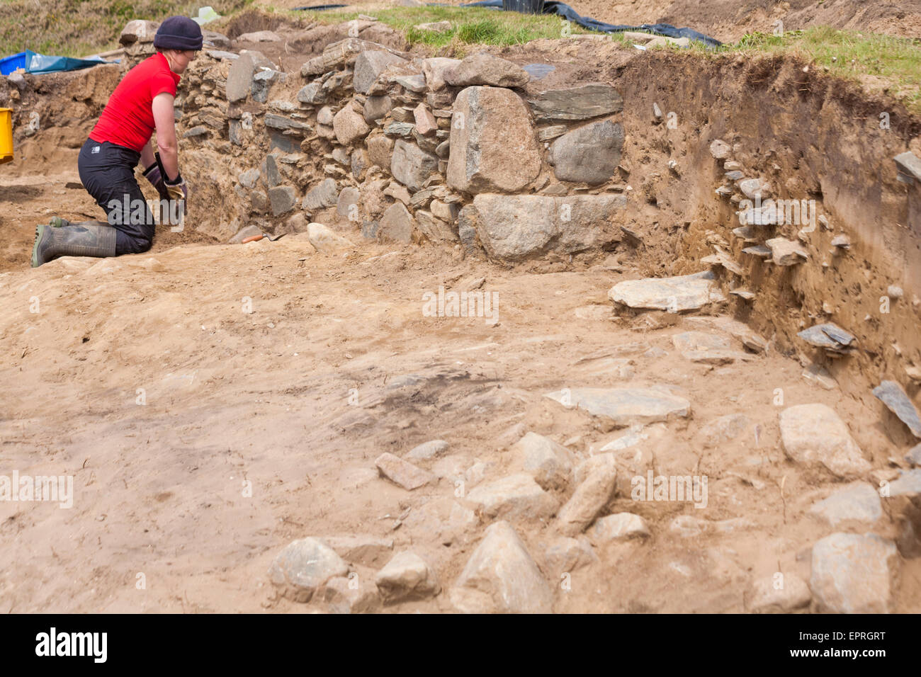 Excavation works at Whitesands Bay, Pembrokeshire Coast National Park, Wales, UK in May - woman excavating Stock Photo