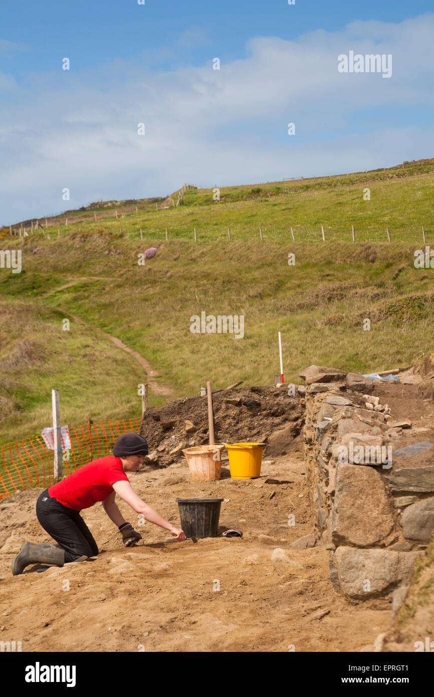 Excavation works at Whitesands Bay, Pembrokeshire Coast National Park, Wales, UK in May - woman with trowel excavating Stock Photo