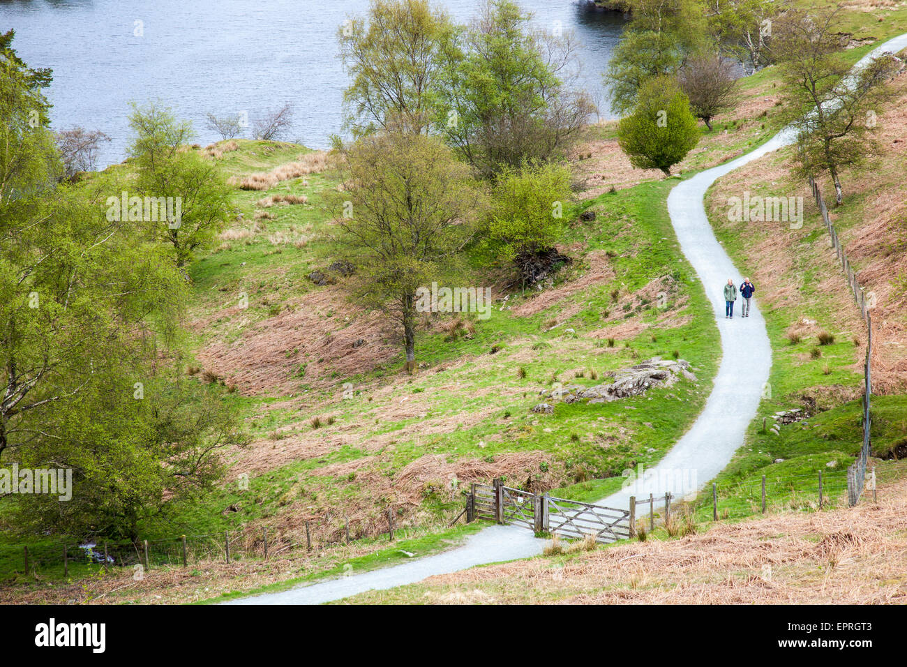 Walkers on the circular path around Tarn Hows, near Hawkshead Hill, Lake District, Cumbria Stock Photo