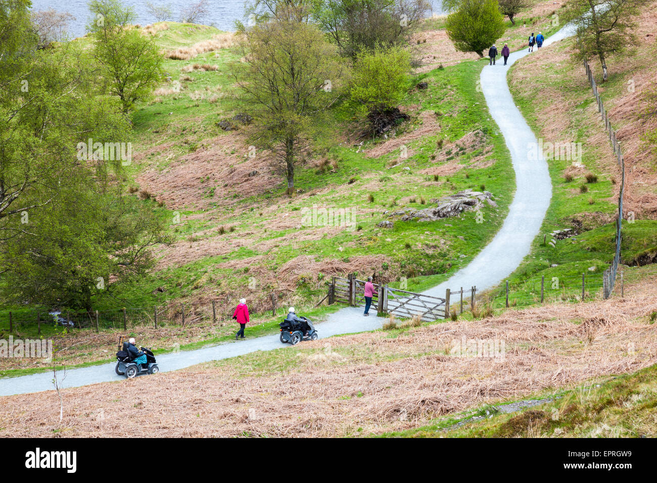 Tarn hows, lake district disabled hires stock photography and images