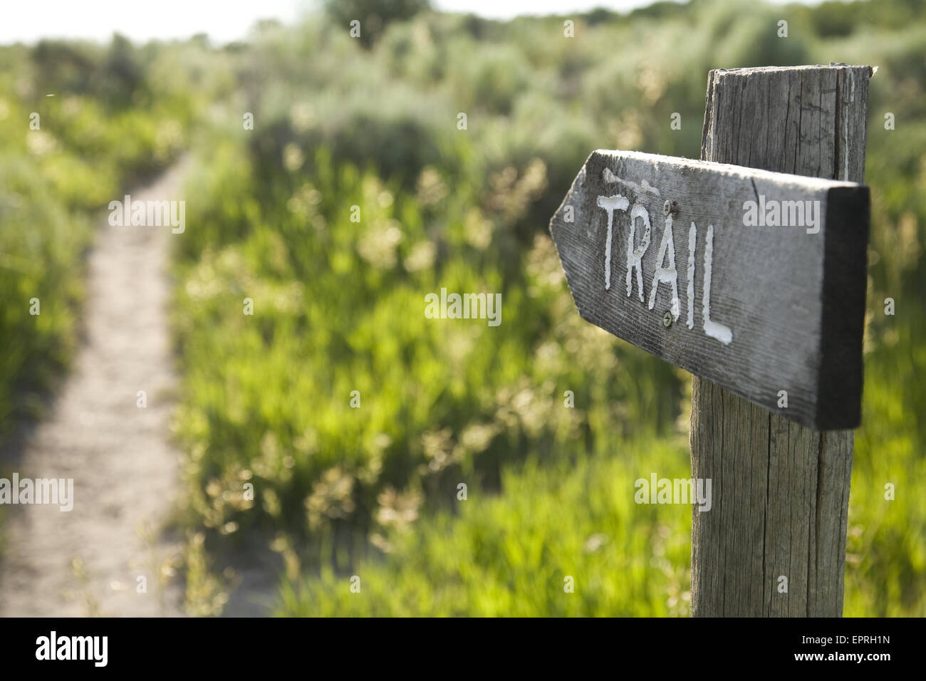 Trail sign. Stock Photo