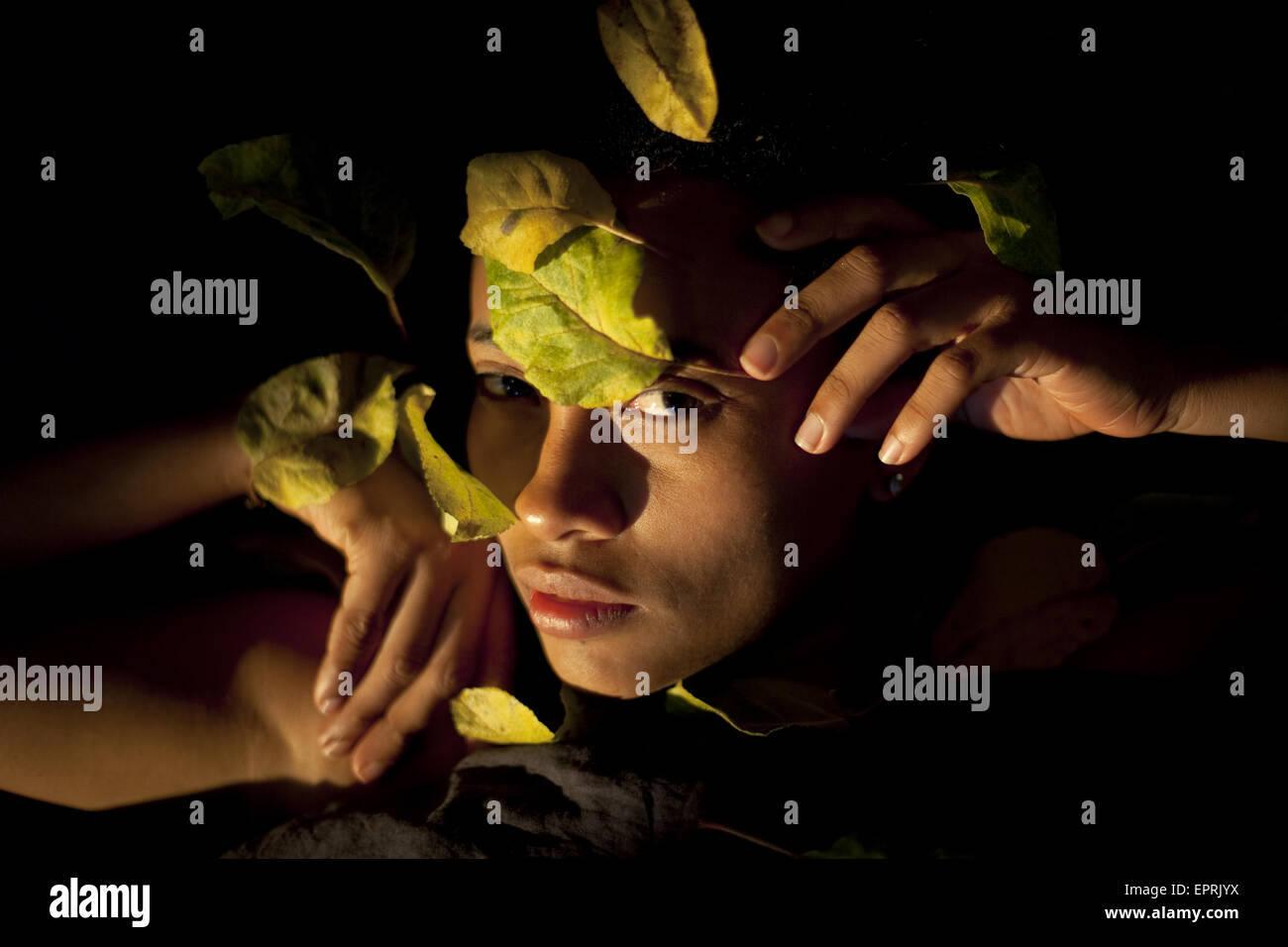 A young woman photographed photographed peering out from behind leaves in Baltimore, Maryland on December 1. Stock Photo