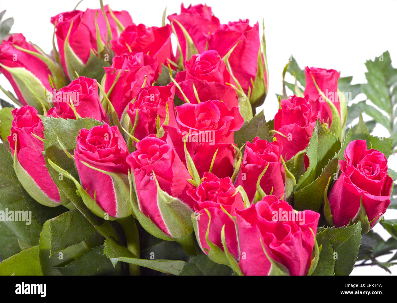 Red roses bouquet Stock Photo - Alamy