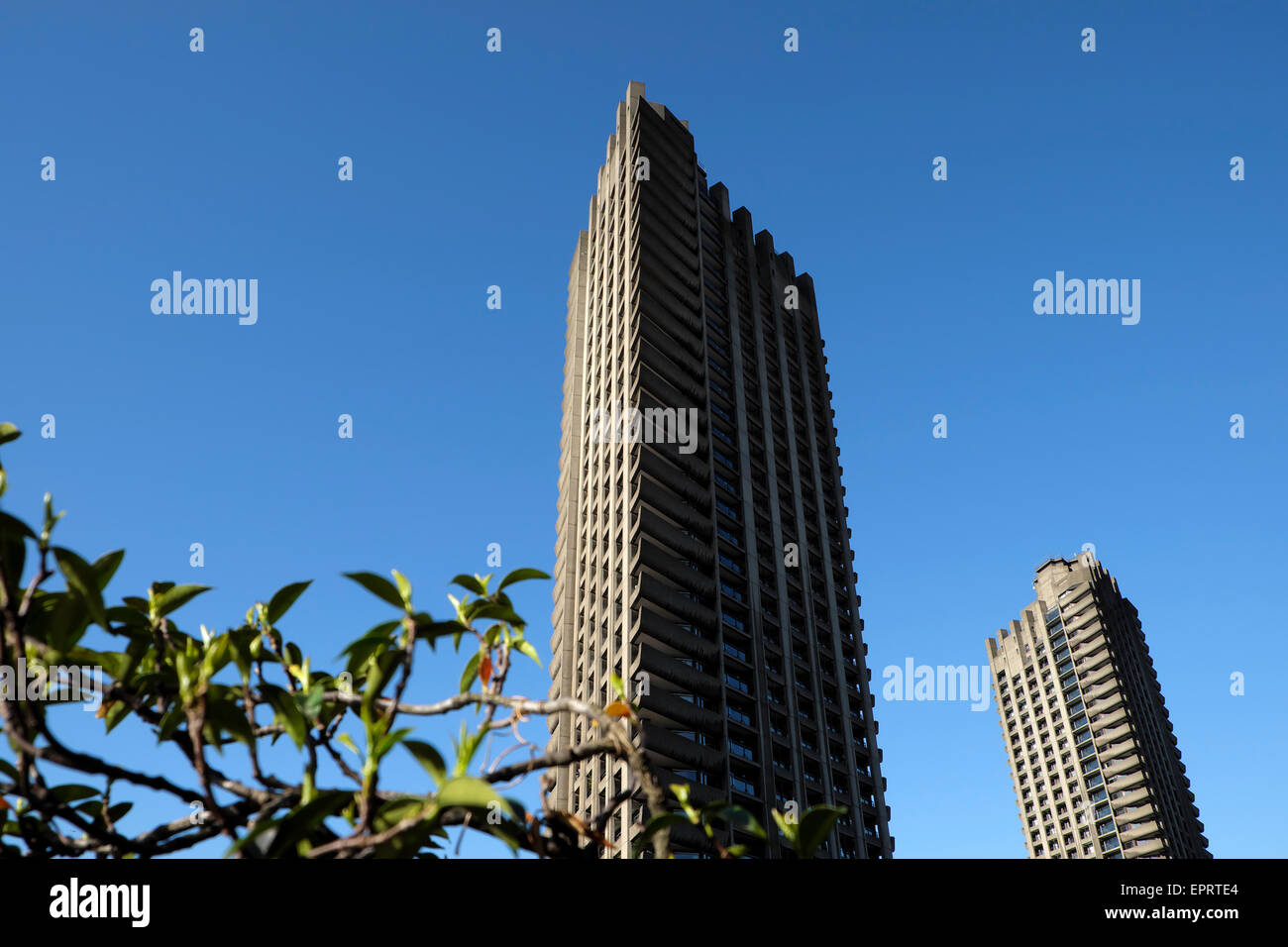 View of building tower with perennial plant from a balcony flat garden and Barbican Estate high rise luxury1960s modern architectecture apartment towers & clear blue sky in spring London EC2Y England UK  KATHY DEWITT Stock Photo