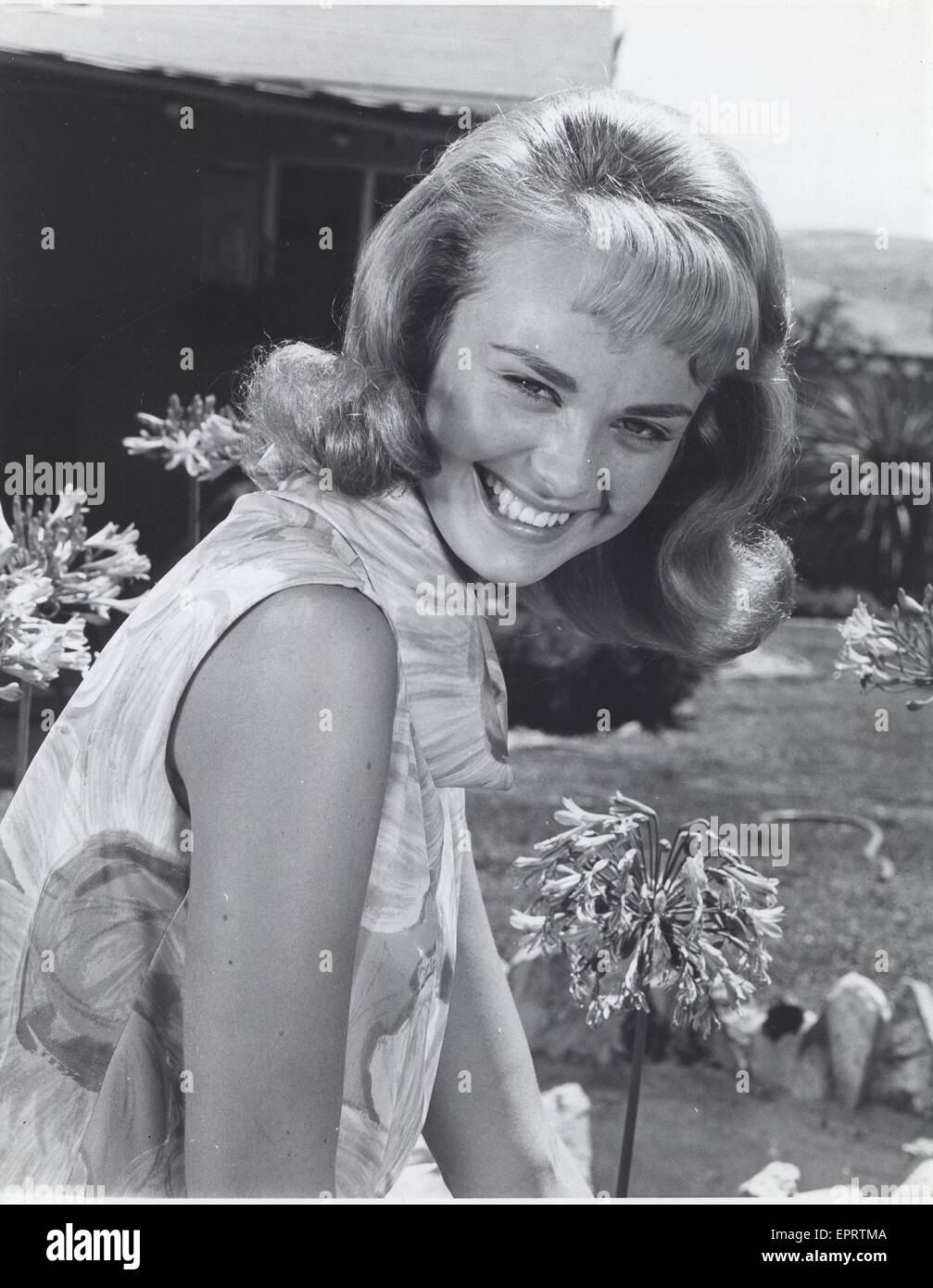 Debbie watson hi-res stock photography and images - Alamy