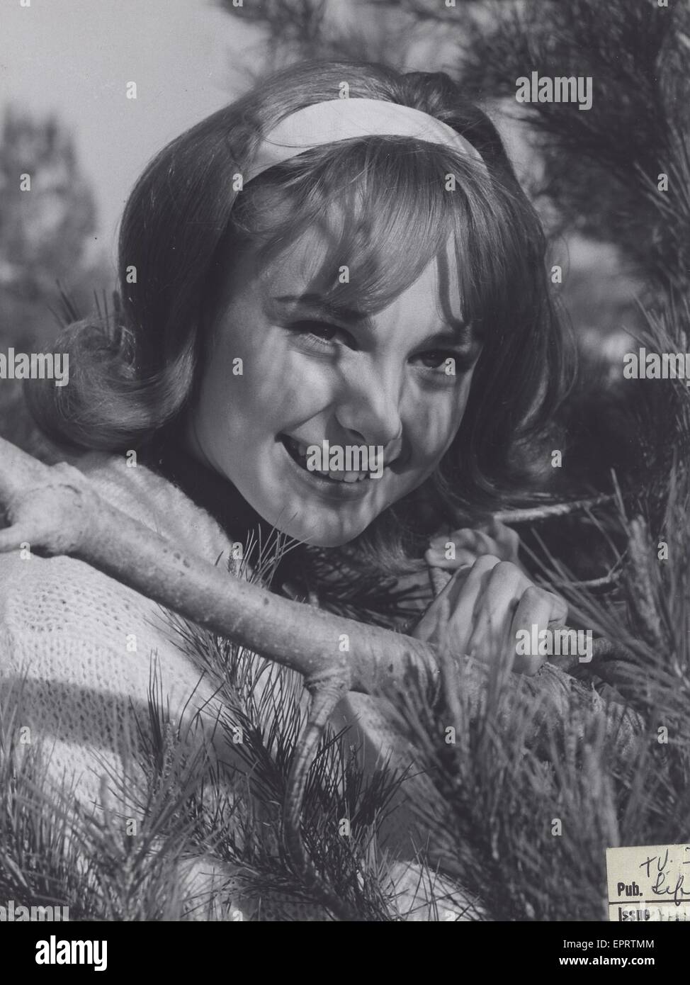 Debbie watson hi-res stock photography and images - Alamy