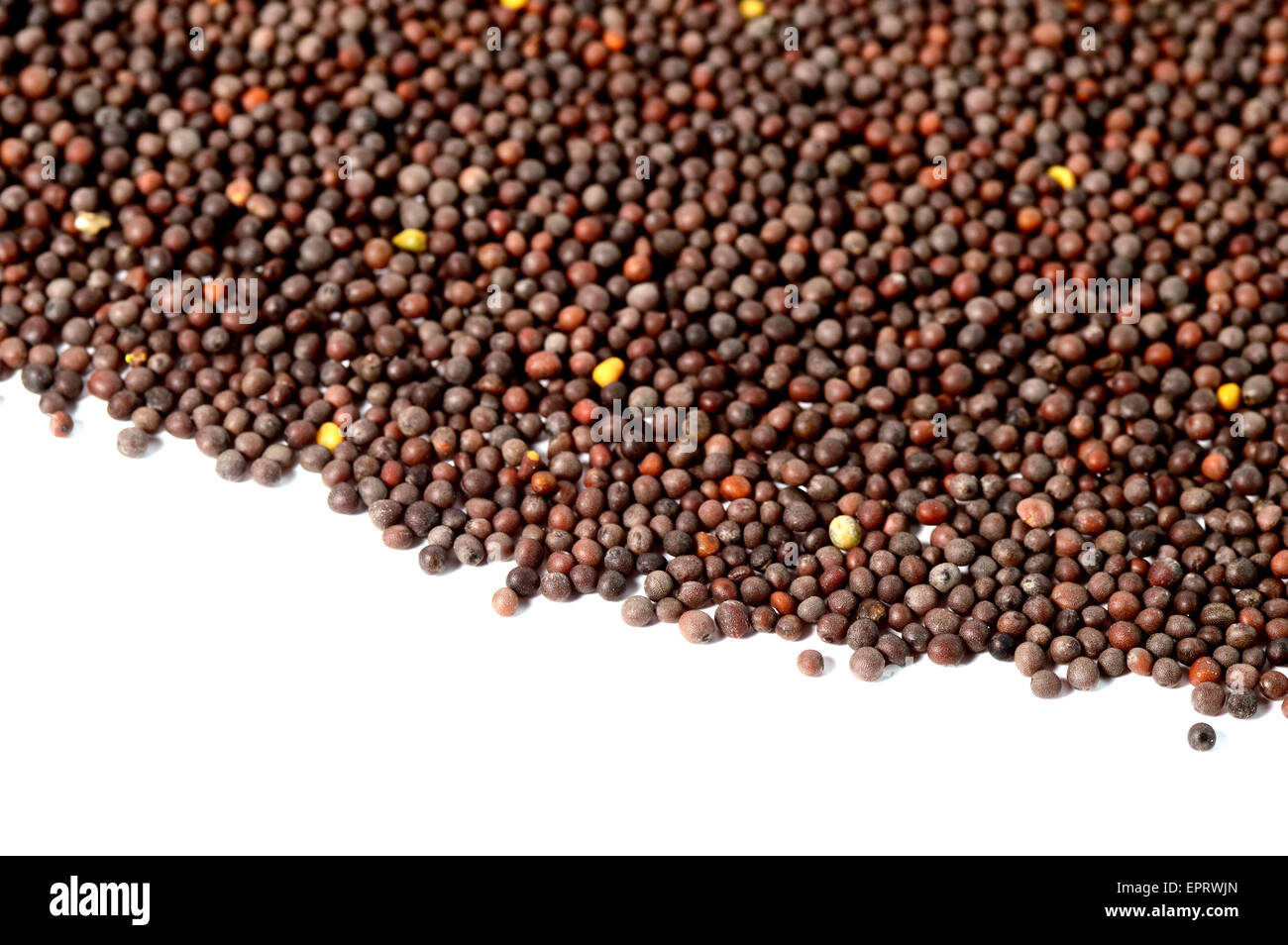 Brown Mustard Seeds Stock Photo Alamy