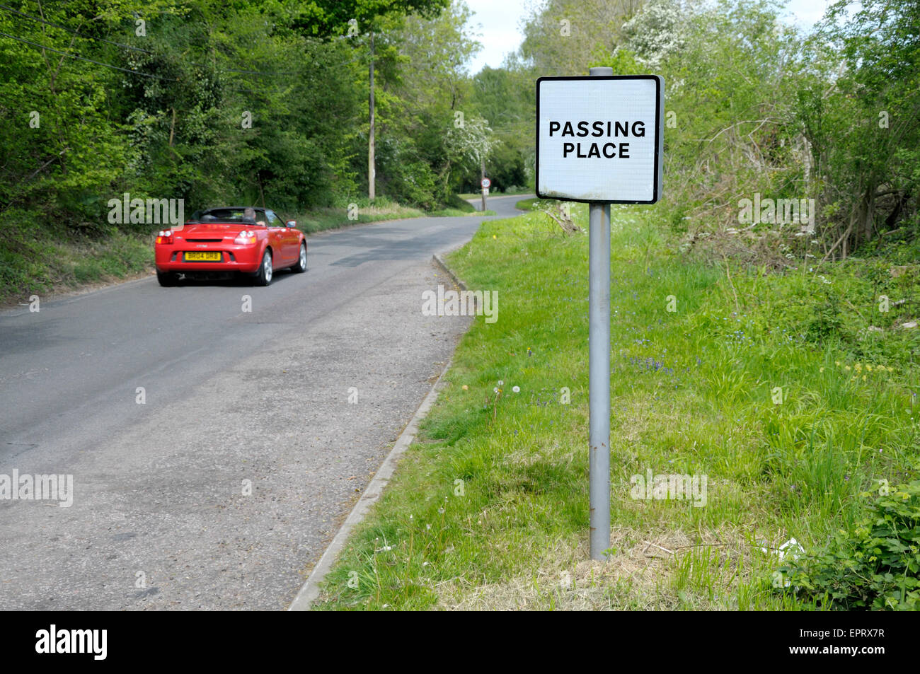 Norfolk, England, UK. Passing place on a narrow country road Stock