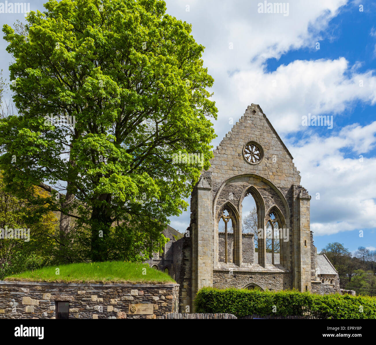 Valle Crucis Abbey, near Llangollen, Denbighshire, Wales, UK Stock Photo