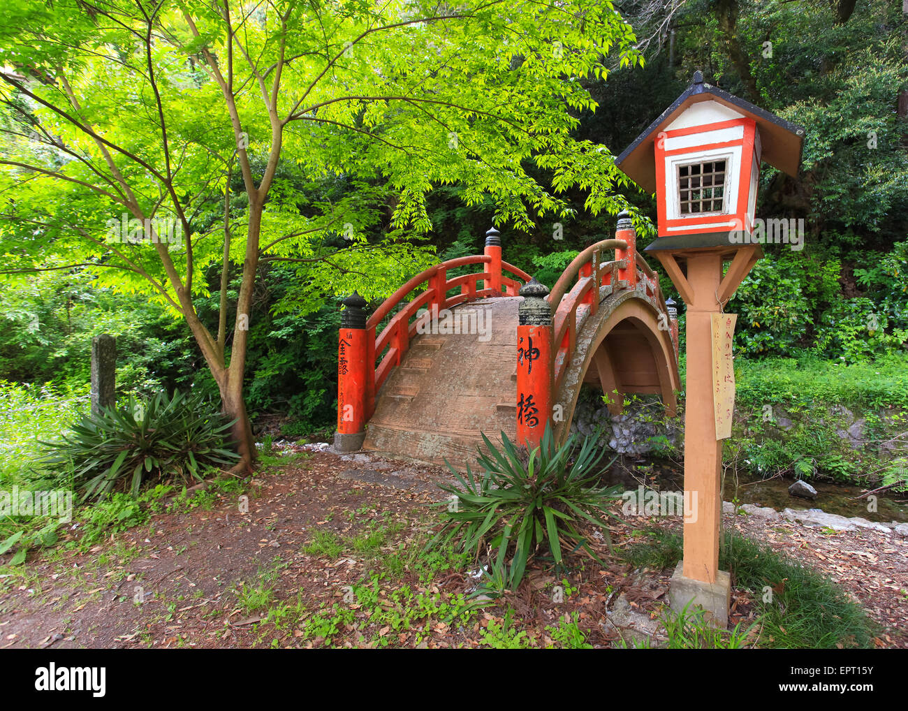 Japanese nature scene with bridge Stock Photo