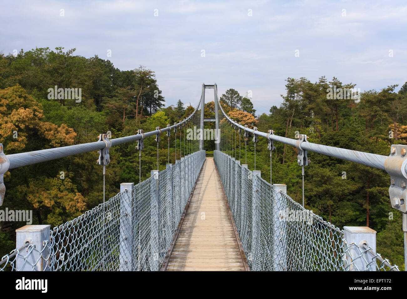 Suspension bridge over nature scene Stock Photo